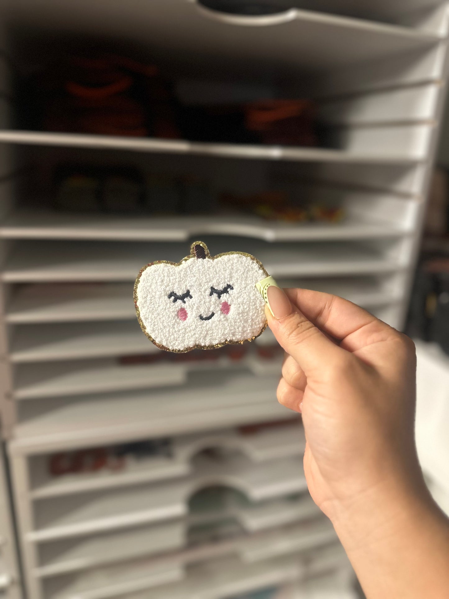 pocket pumpkins (RTS)